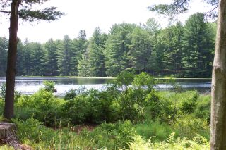 lake2.jpg