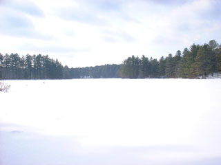 lake3.jpg