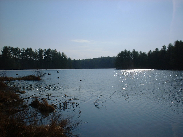 Lake Picture